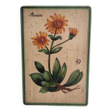 Cadre bois peinture fleurs arnica