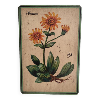 Frame wood painting flowers arnica