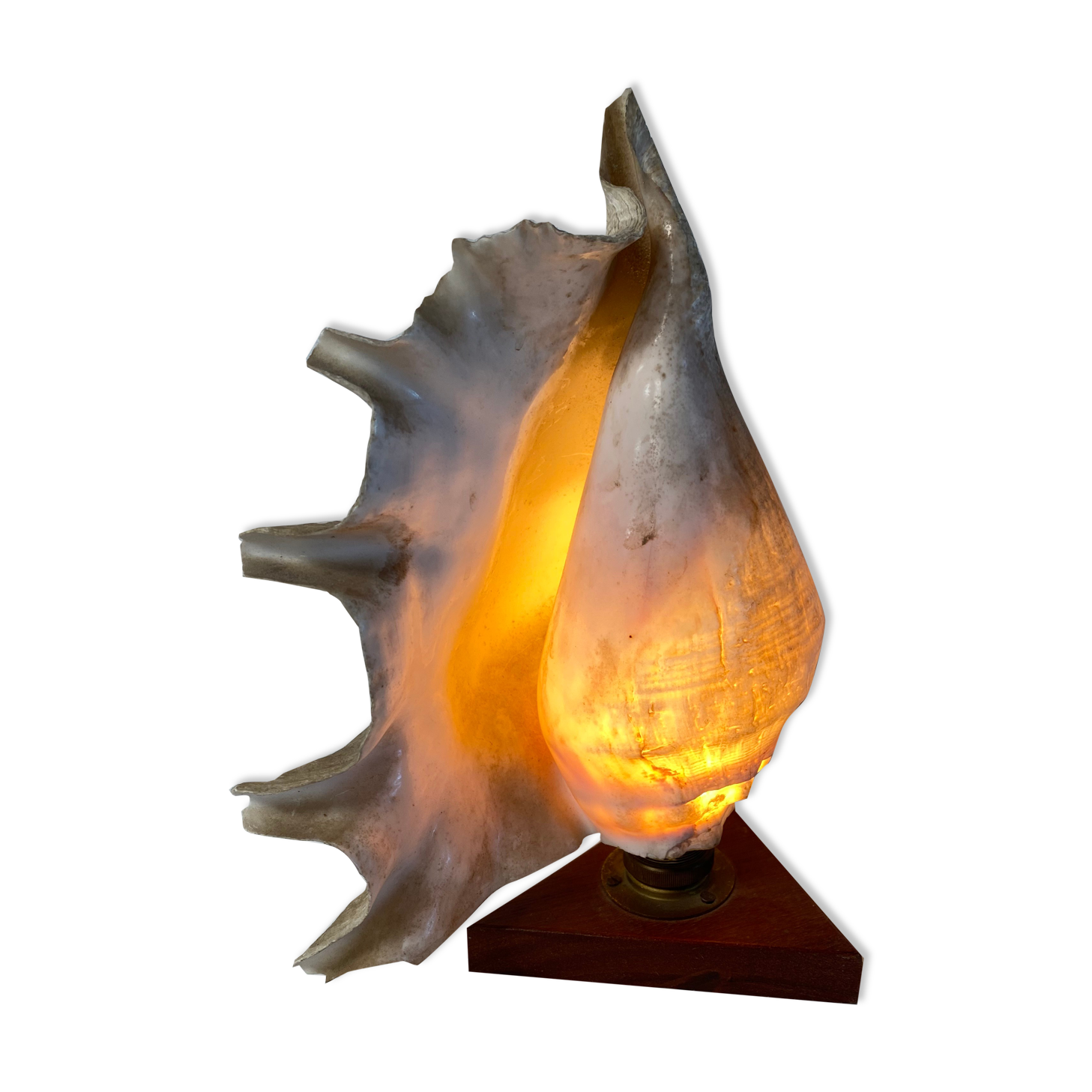 Vintage shell and teak lamp