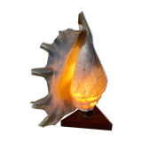 Vintage shell and teak lamp