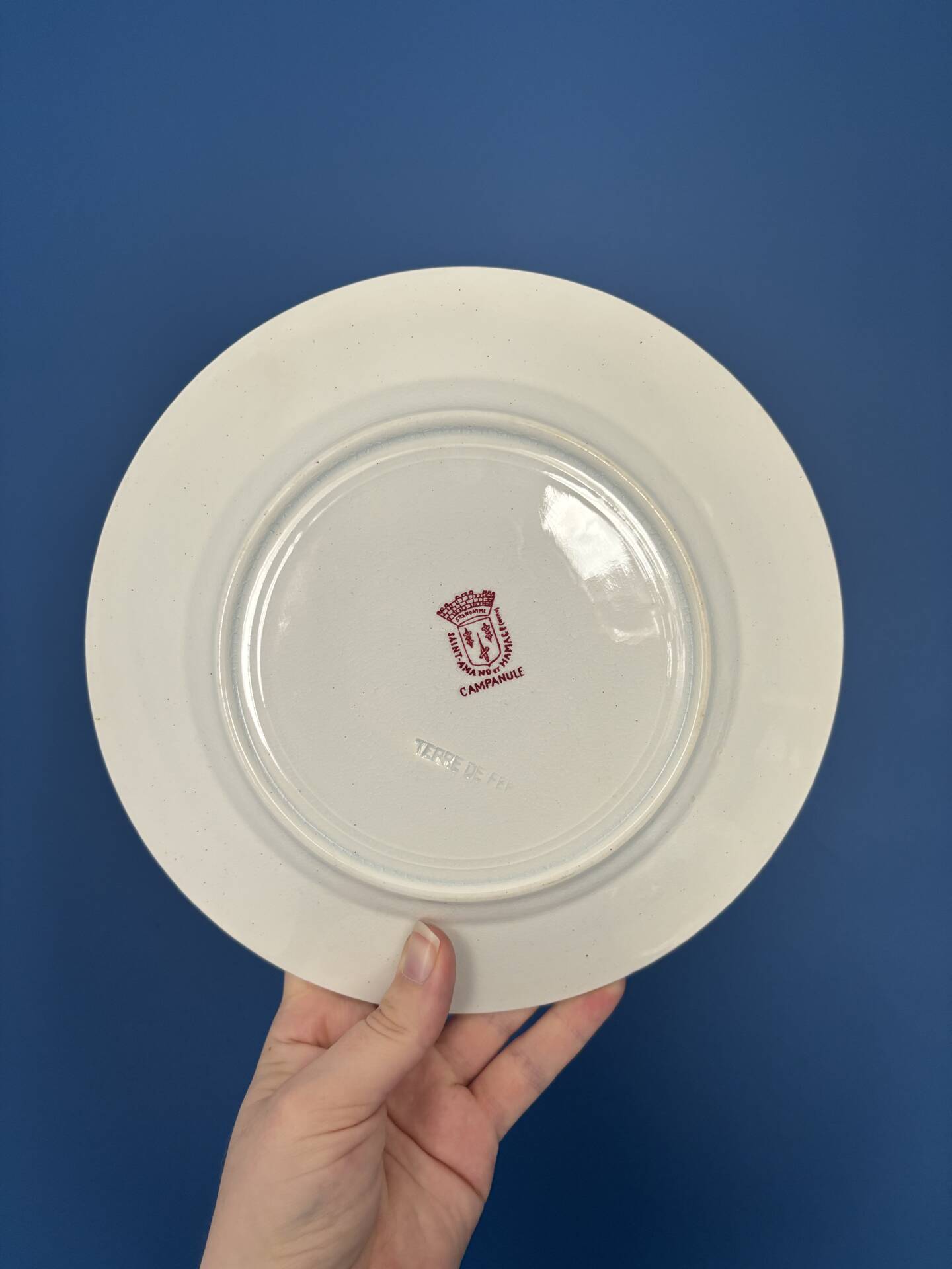 Lot de 6 assiettes à dessert Terre de Fer rose St Amand Hamage modèle