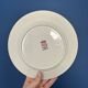 Lot de 6 assiettes à dessert Terre de Fer rose St Amand Hamage modèle