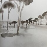 Painting signed monochrome watercolor “pine forest in Provence”