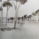 Tableau signé aquarelle monochrome  « Pinède en Provence »