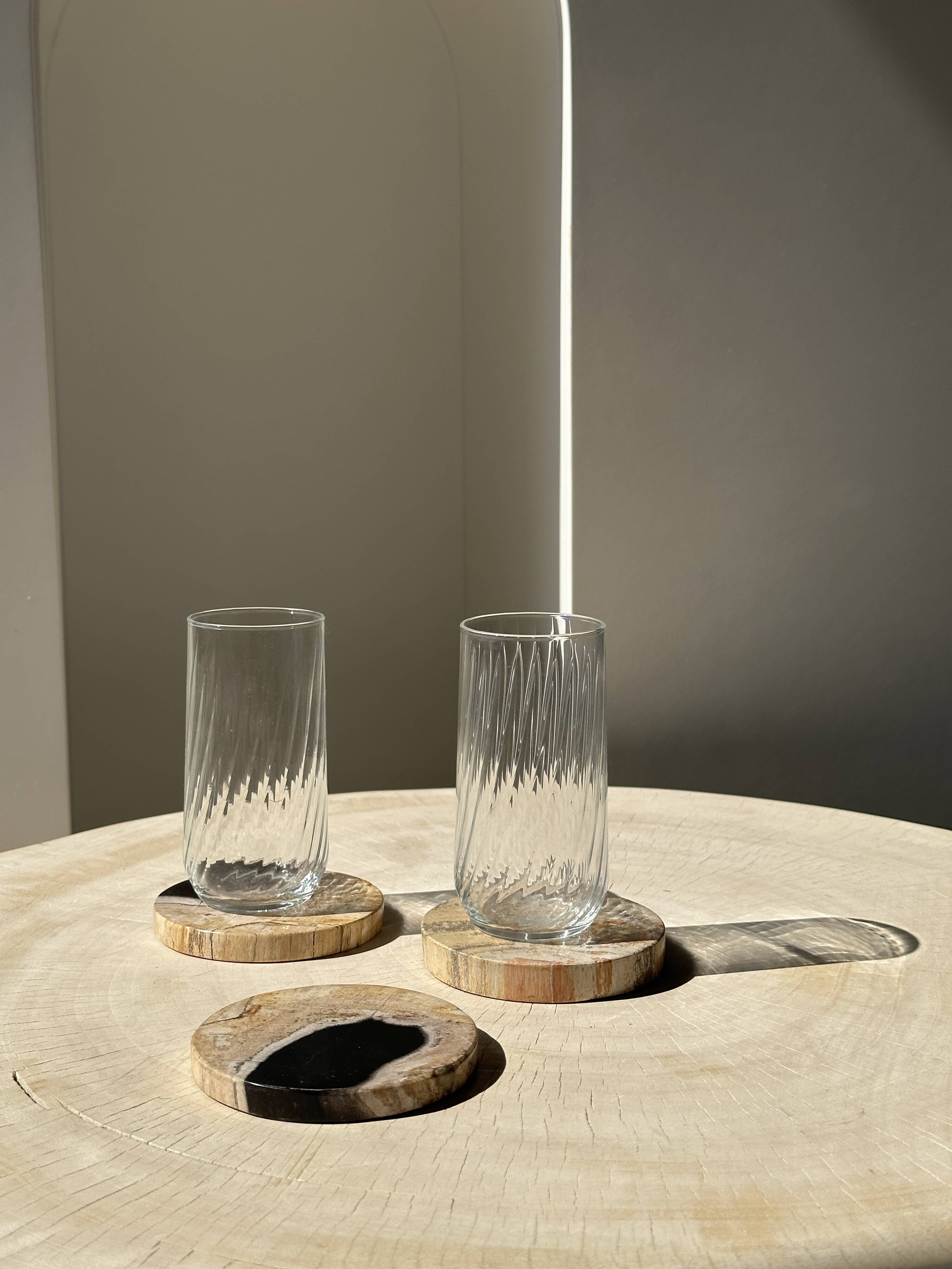 Set of 3 fossilized wood coasters (clear)