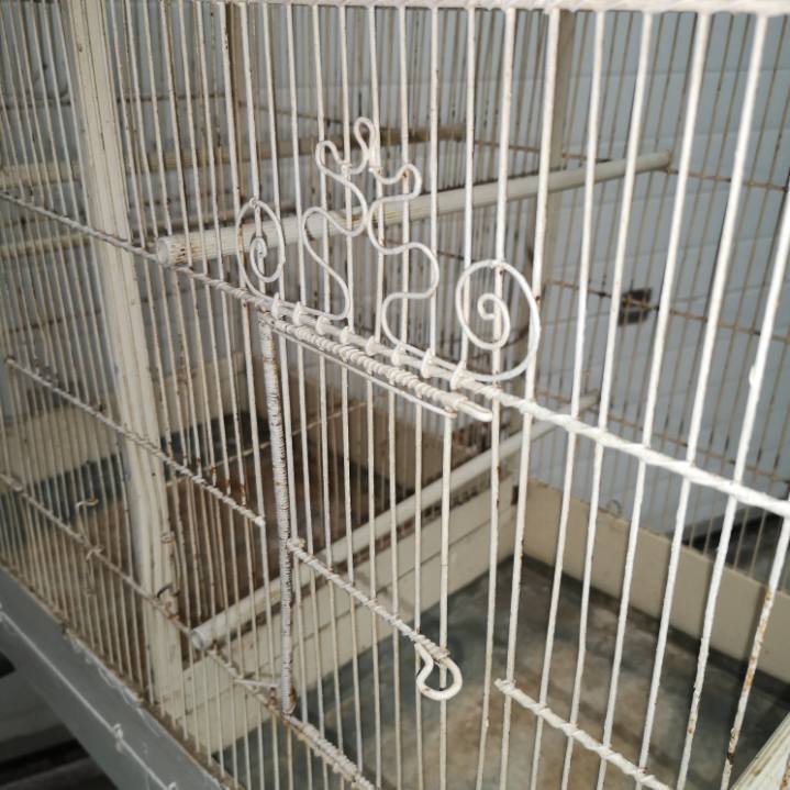 Double cage with birds in wooden metal white rectangular bell tower 1910