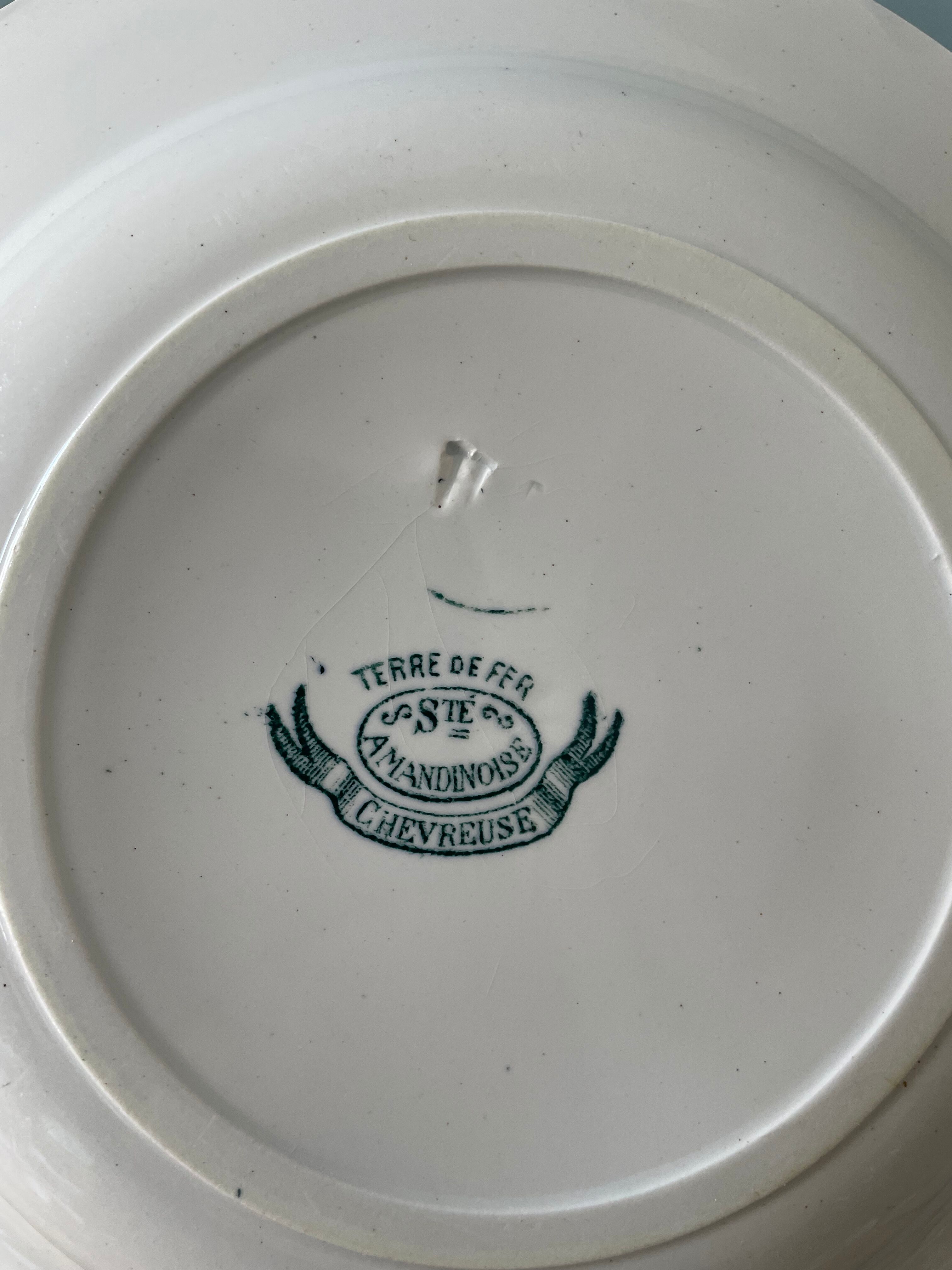 Set of 7 mismatched hollow plates Terre de Fer XIXth