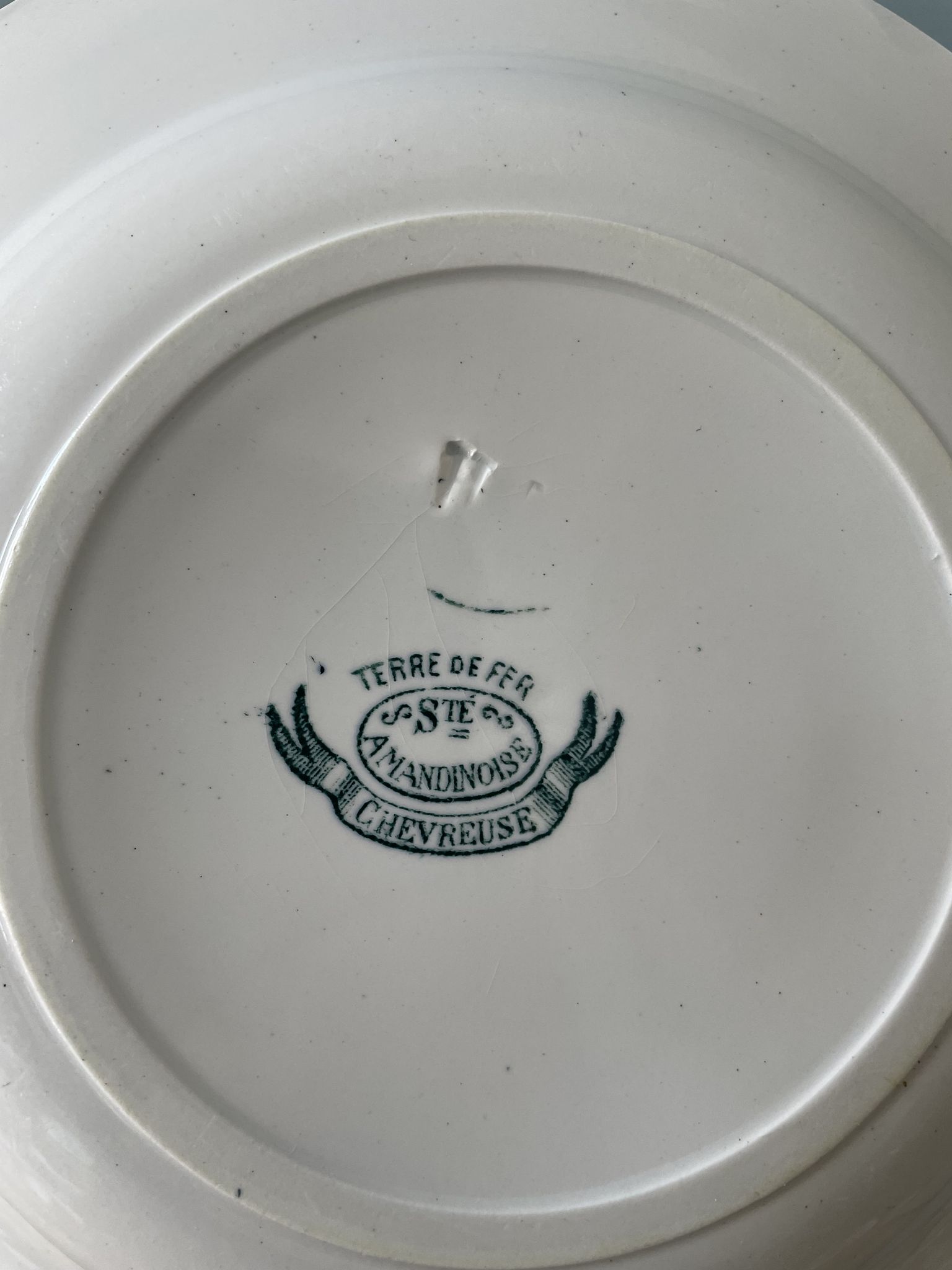 Set of 7 mismatched hollow plates Terre de Fer XIXth