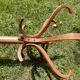 Baumann wooden parrot coat rack