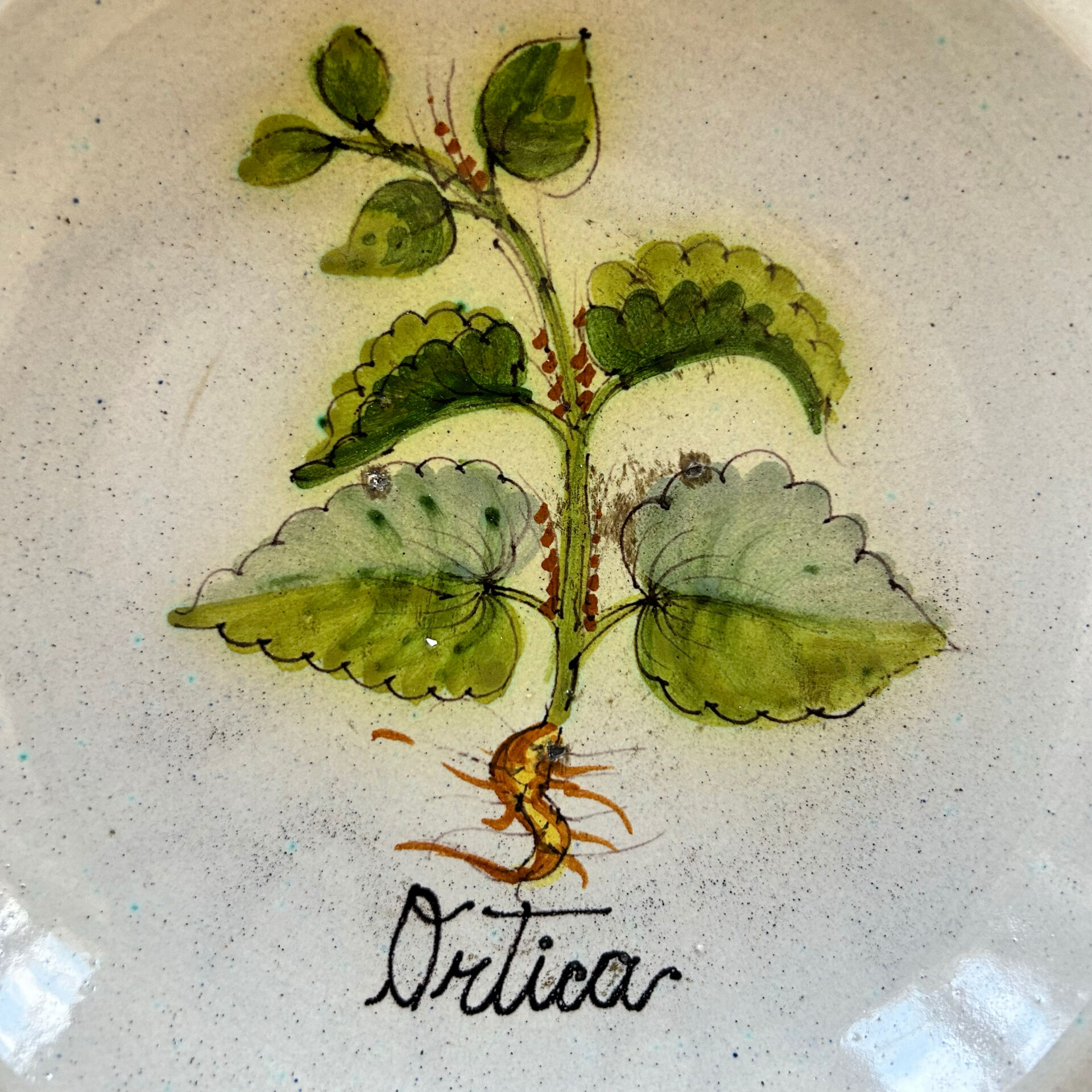 Collection de 2 plats botaniques made in Italy
