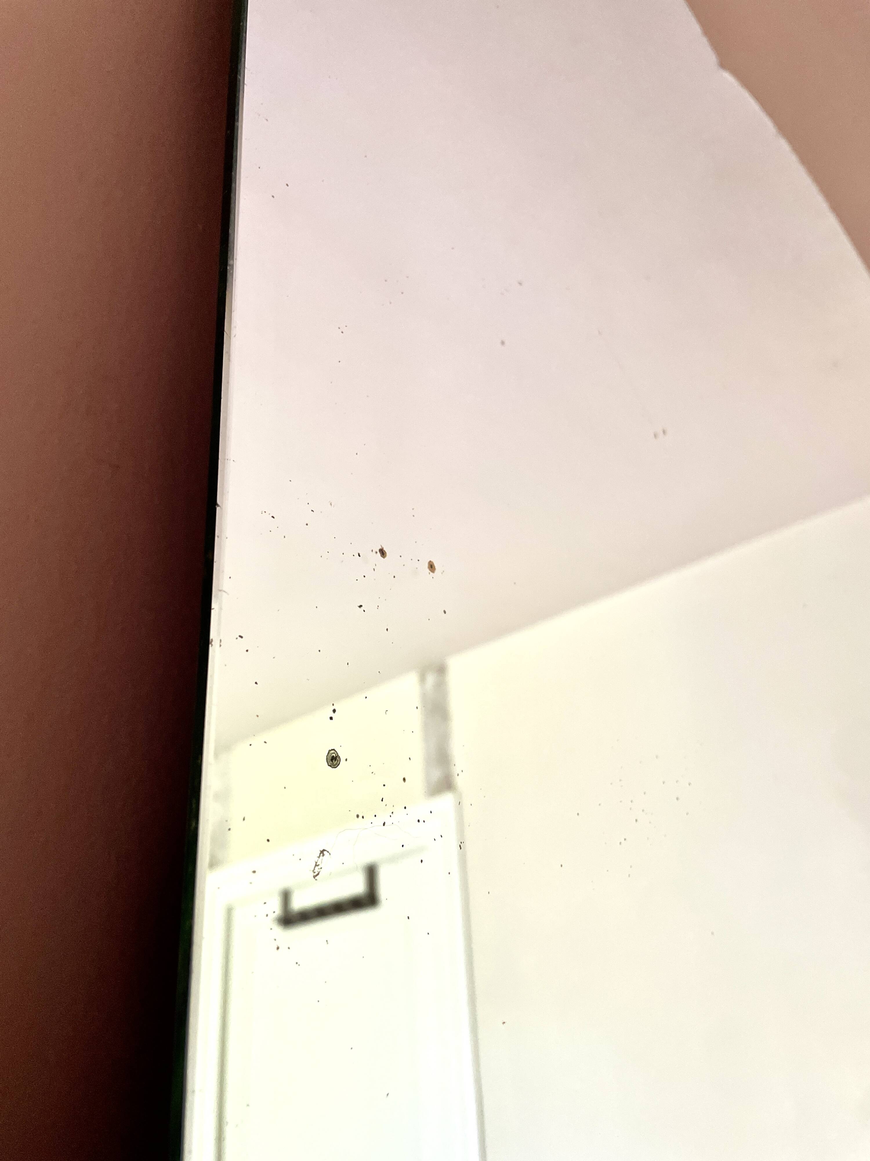 Large moustache mirror