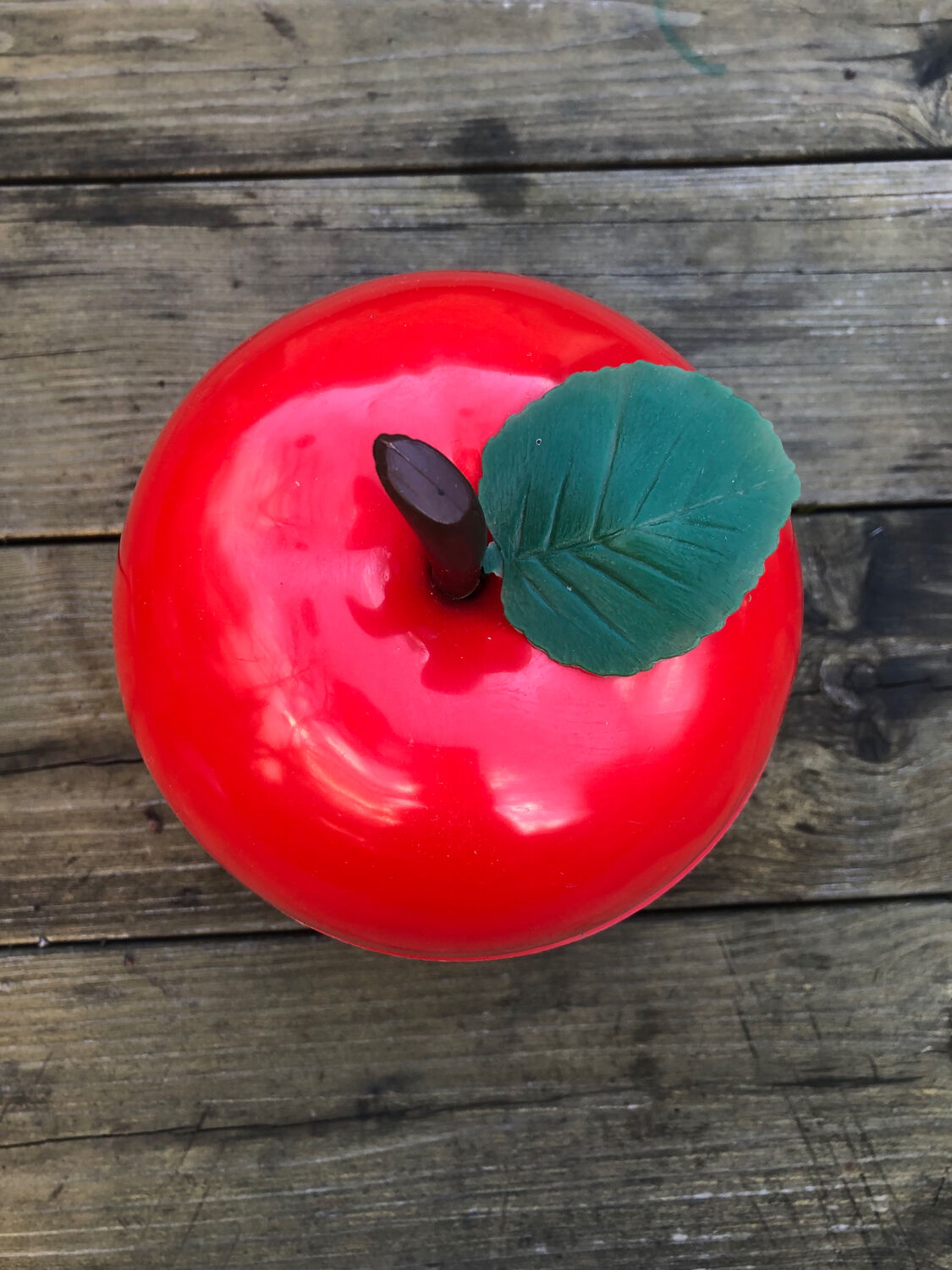 Vintage ice cube apple