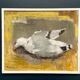 Original Swedish Oil on Canvas – “Seagull” by Ingeborg Stragnell – Signed