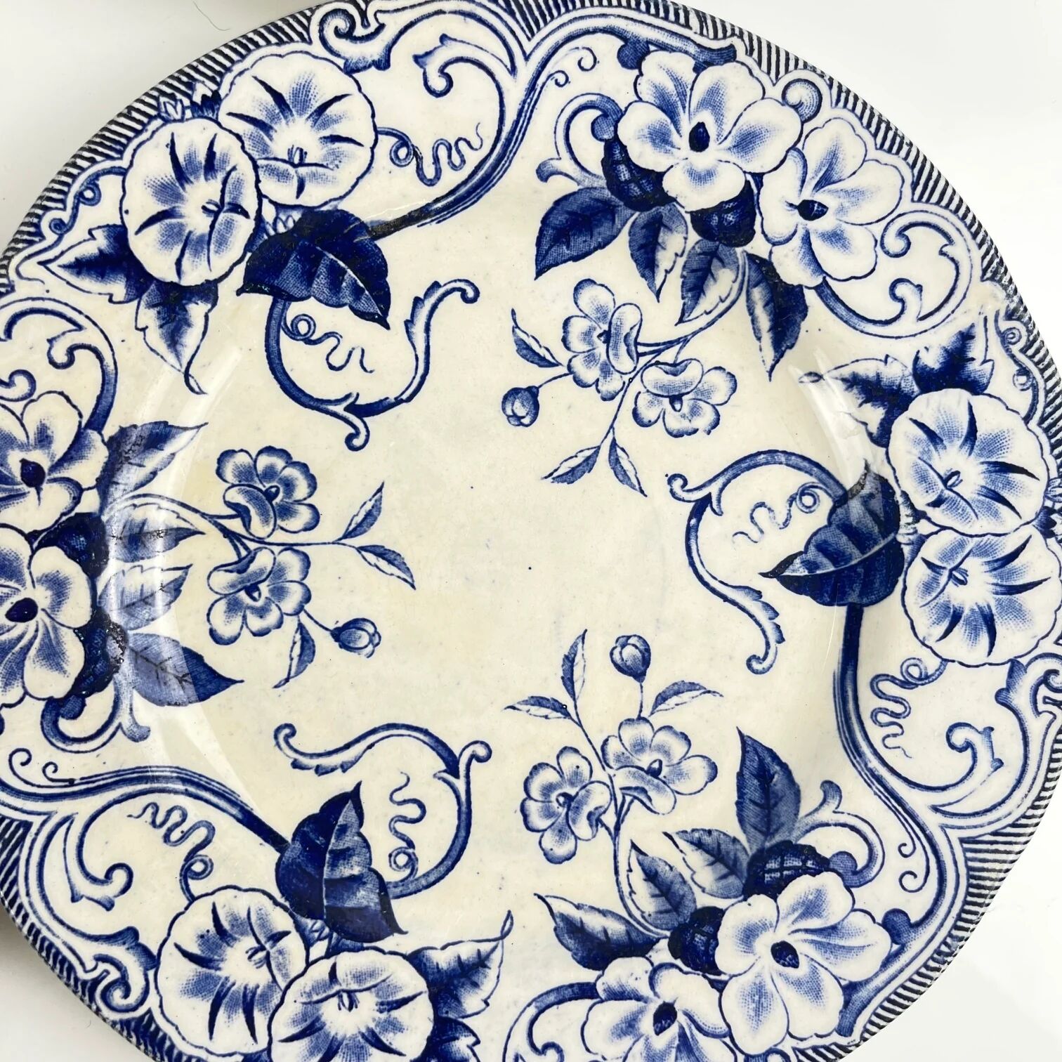 Set of 6 dessert plates in ironstone "Flora" – Creil et Montereau, 19th century, blue