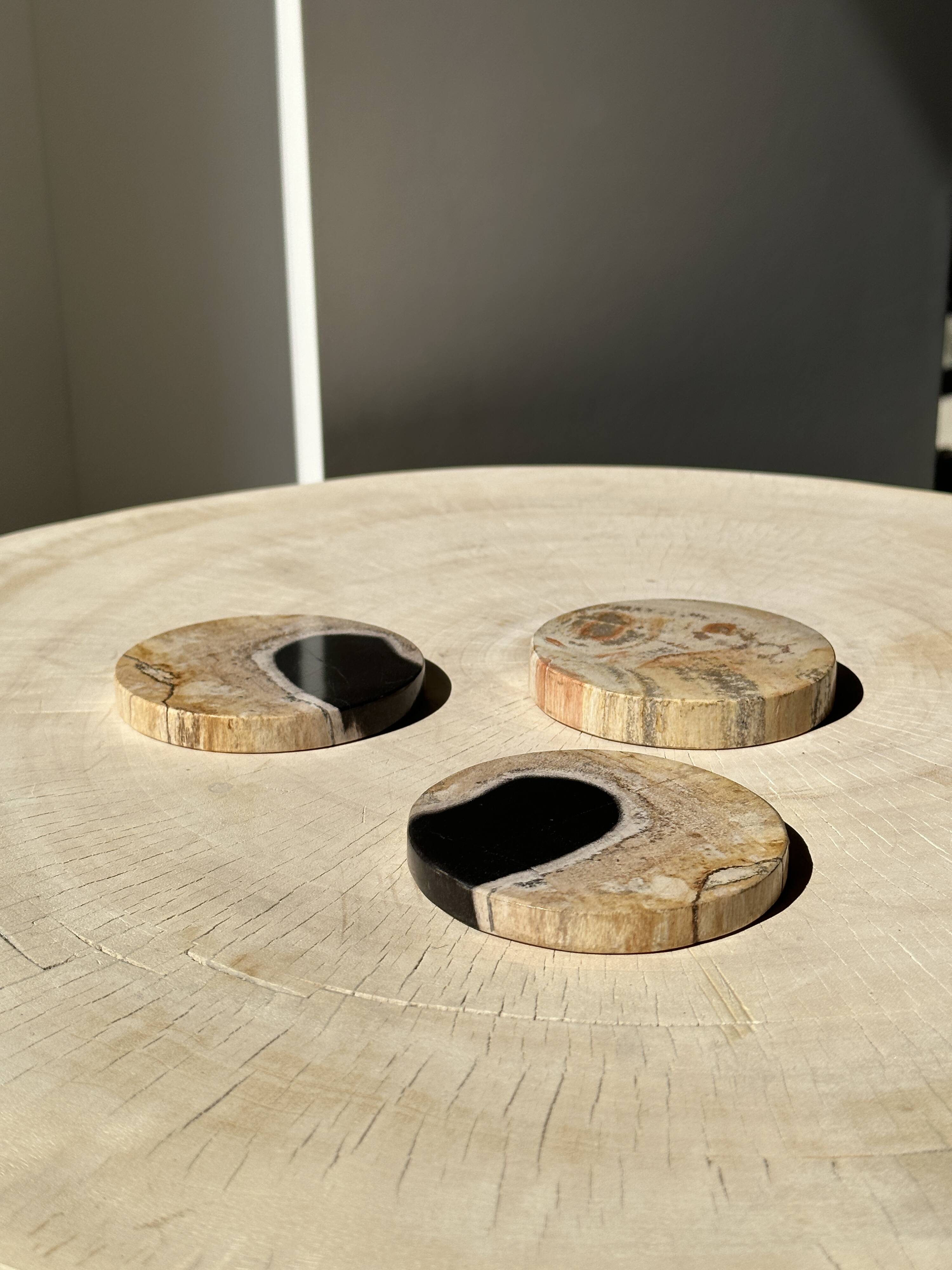 Set of 3 fossilized wood coasters (clear)