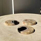 Set of 3 fossilized wood coasters (clear)