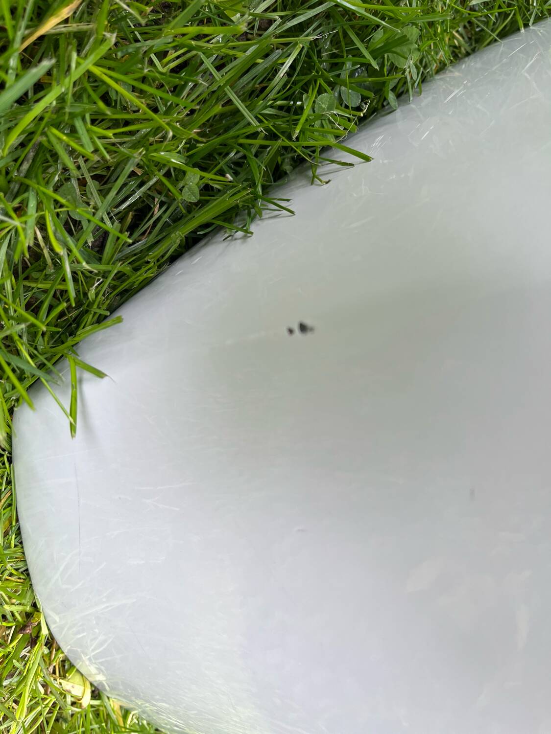 2 litlle albert armchairs by ron arad
