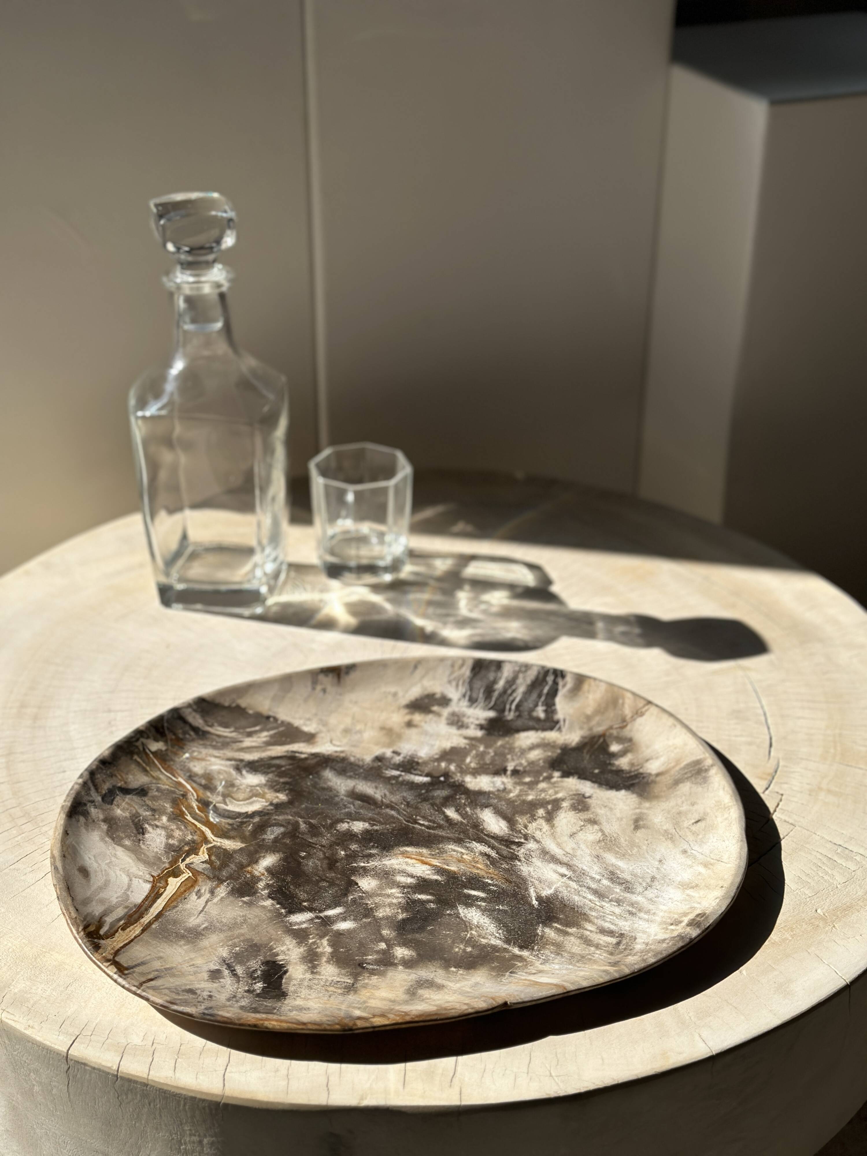 Very large pocket or dish in petrified wood