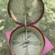 Large old boiled cardboard hat box