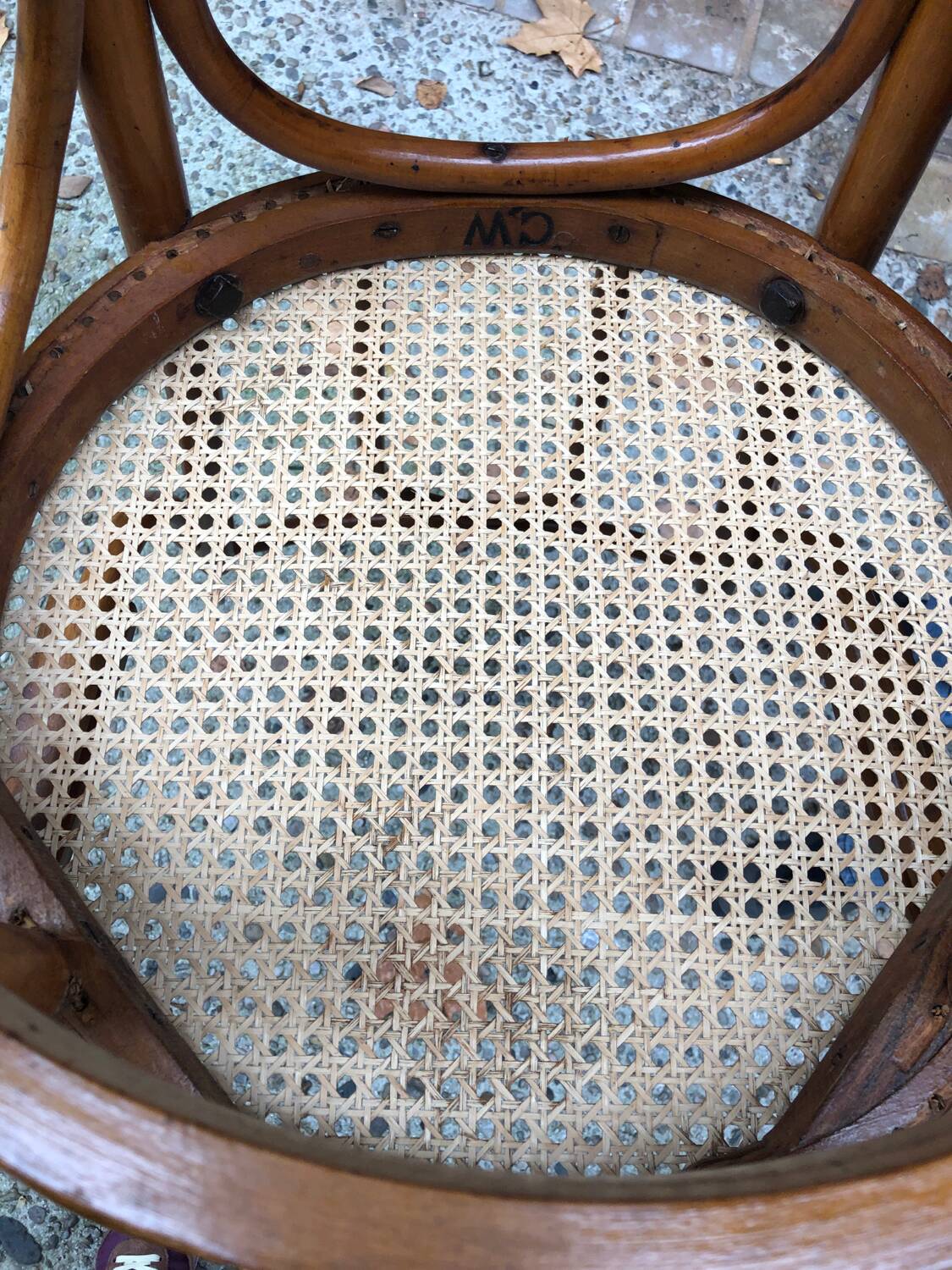 Armchair in bentwood and caning