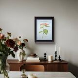 Printed in 1986, the Christmas star. Vintage botanical print.