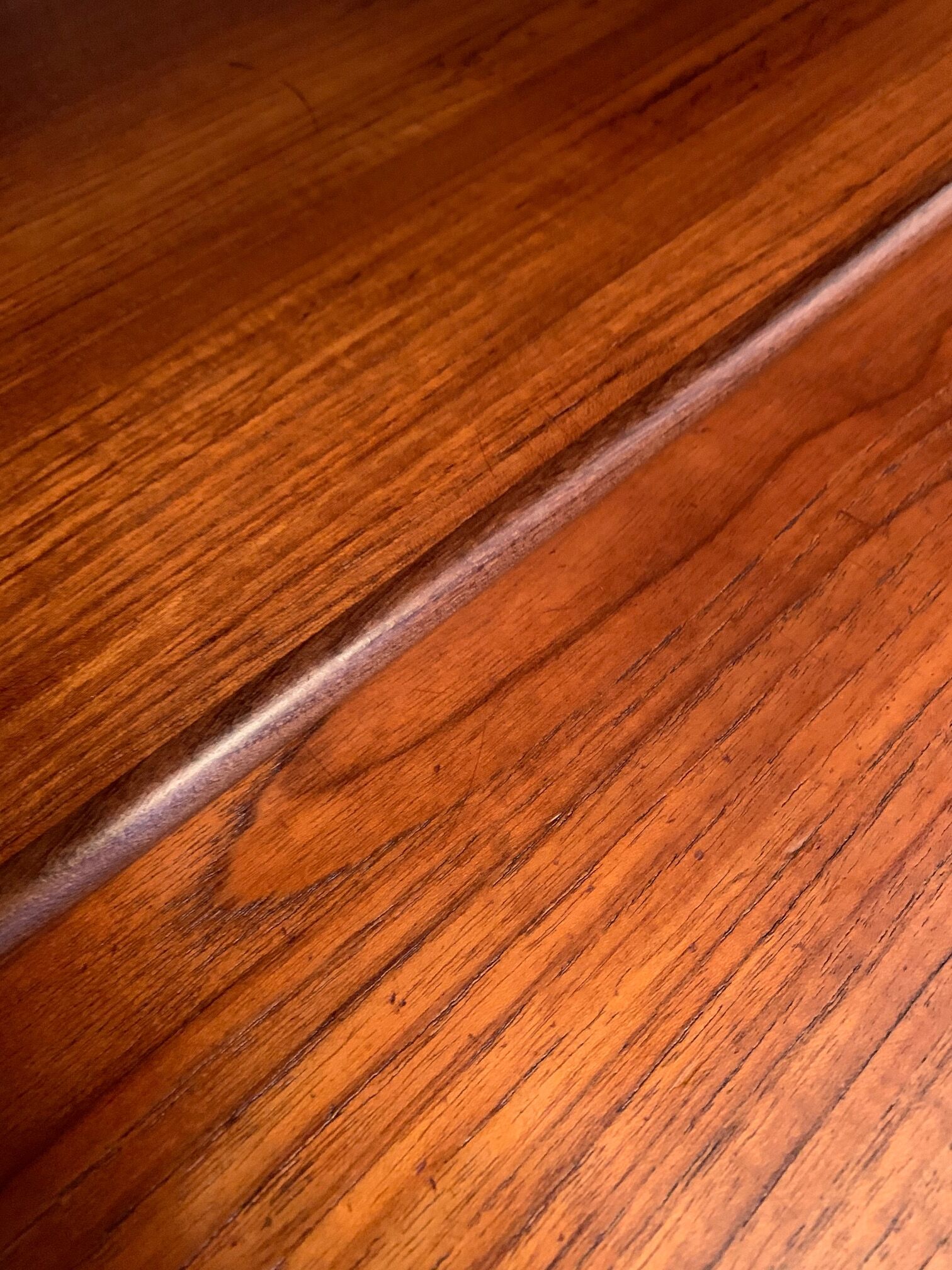 Secretary, Denmark, 1960s