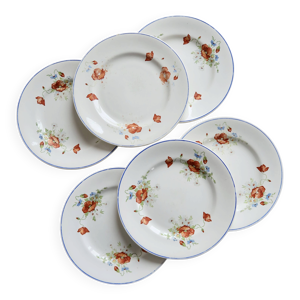6 assiettes plates anciennes - salins