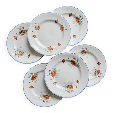 6 antique flat plates faience Salins - Poppy model