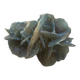 Small blue tinted sand rose