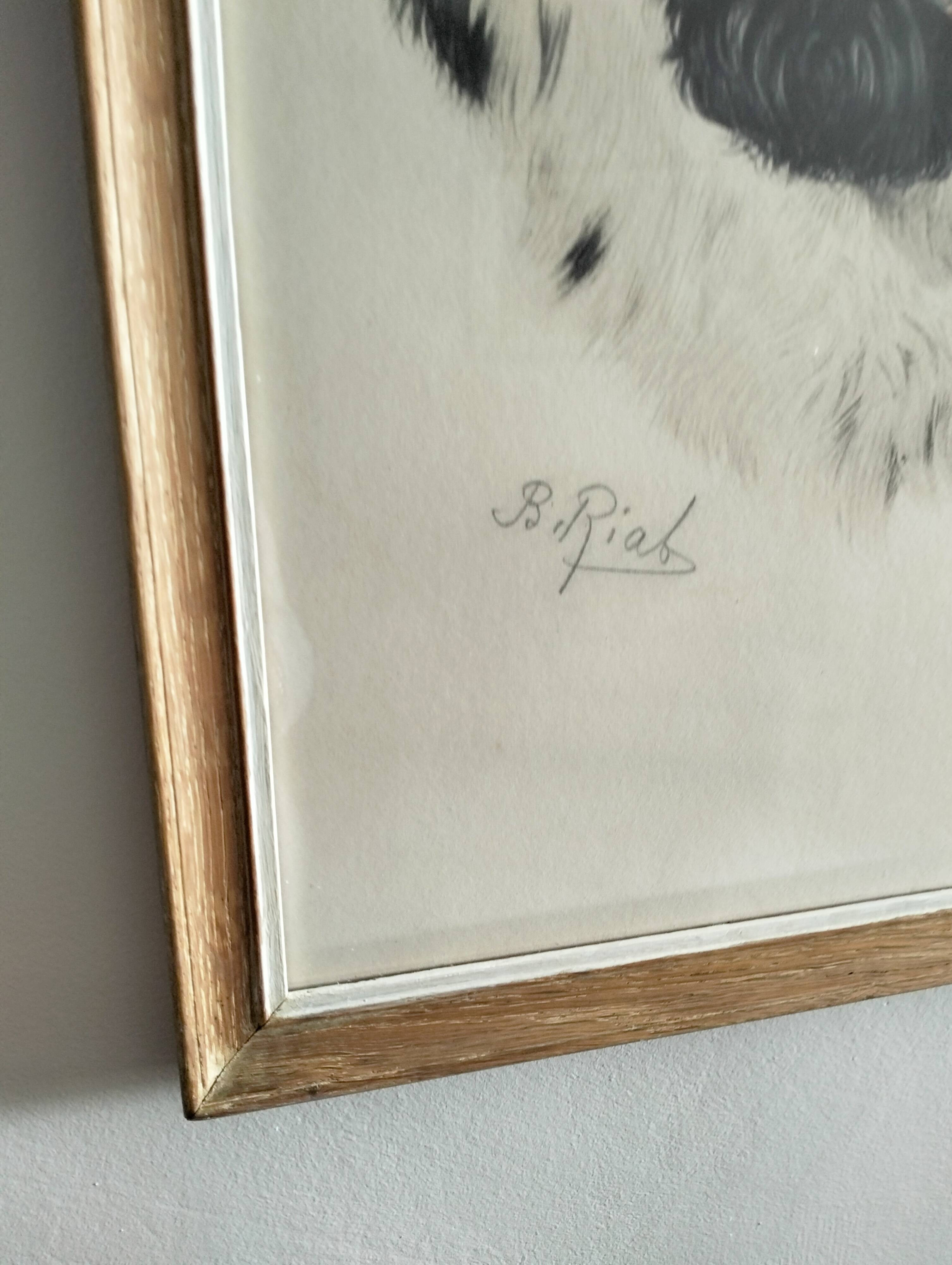 Animal lithograph