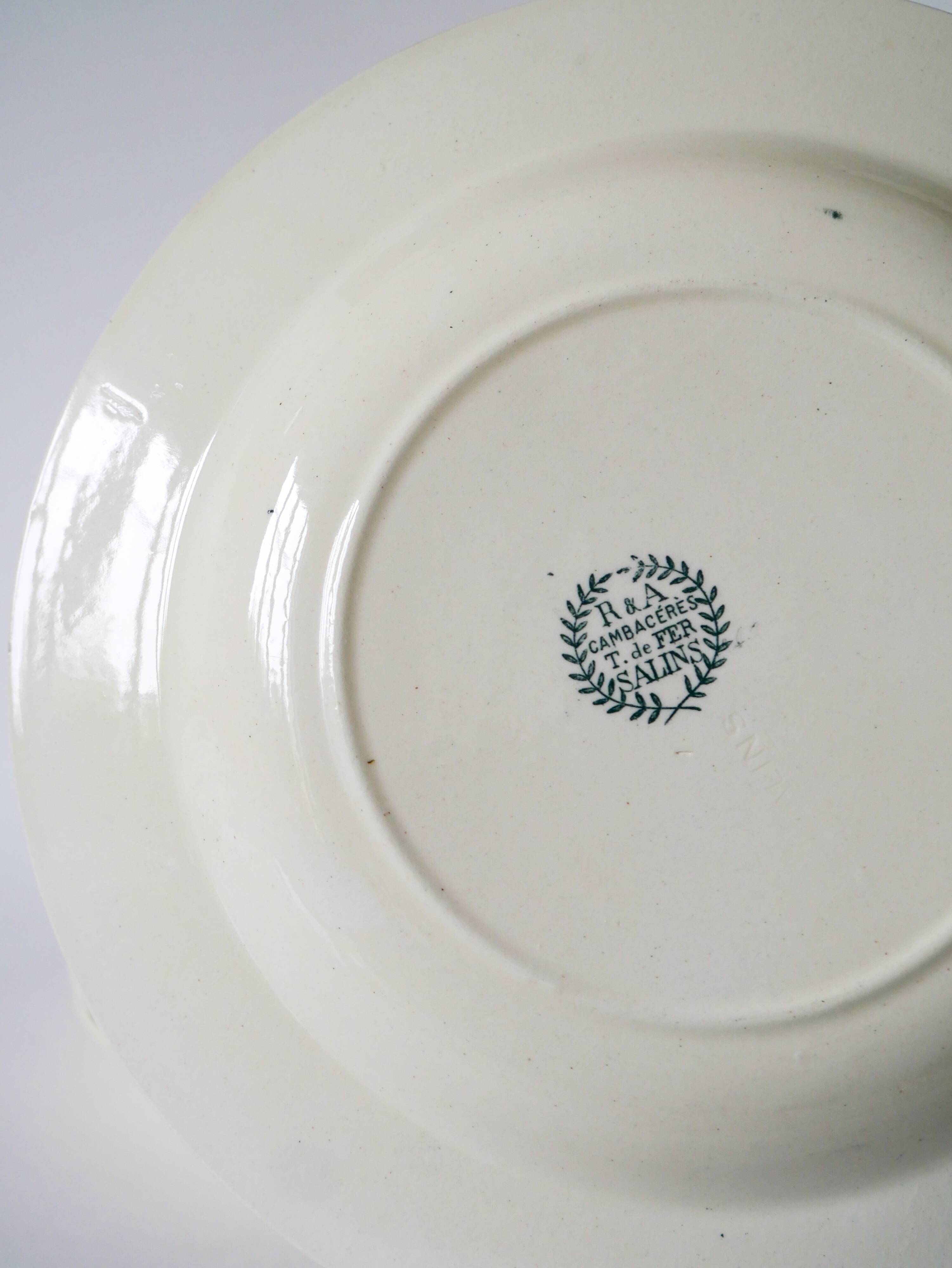 Set of 6 deep plates in Terre de Fer, Salins model "Cambacéres" 19th century