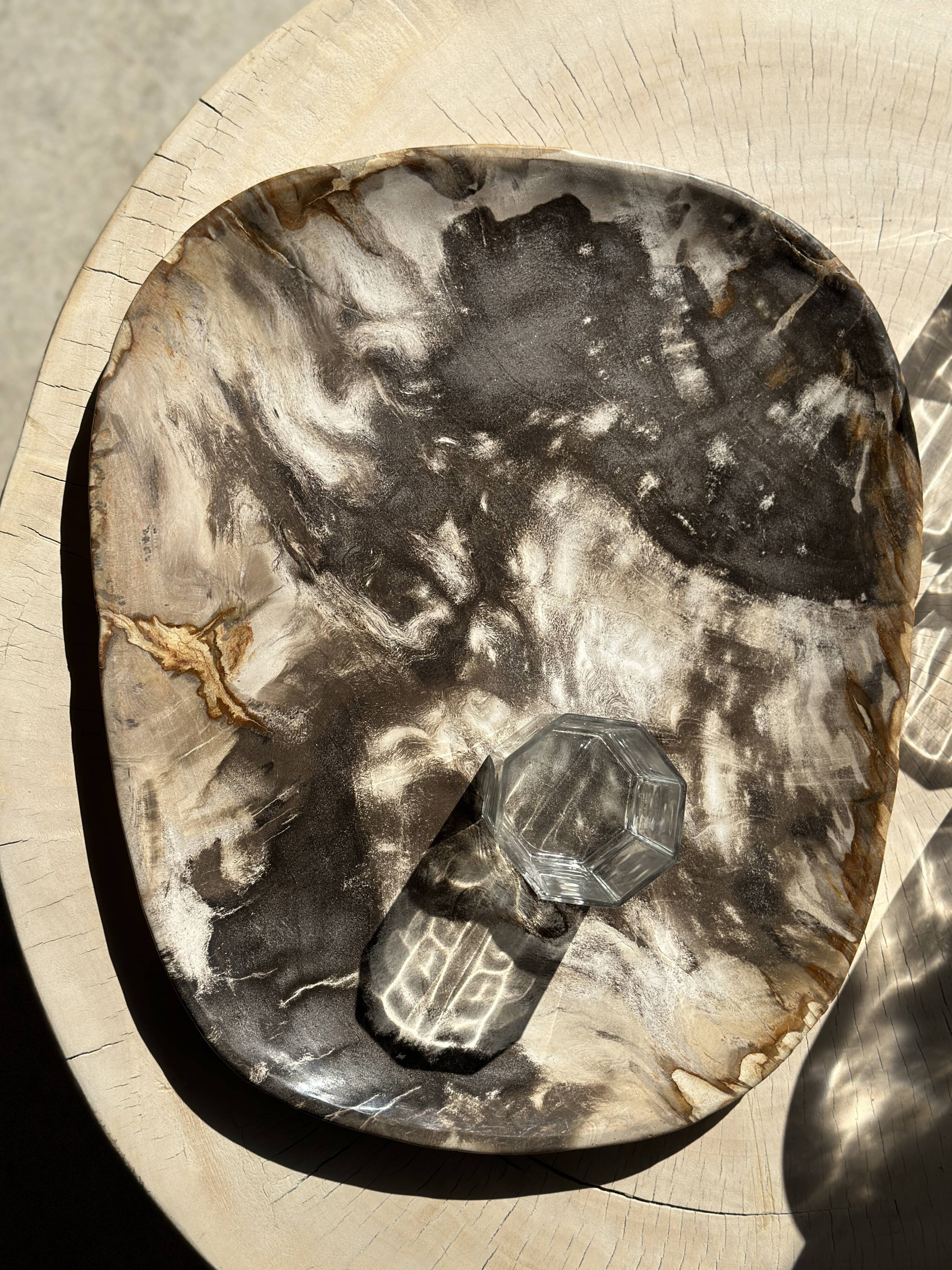 Very large pocket or dish in petrified wood