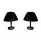 Pair of Scandinavian Lamps