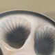 Assiettes coquillage
