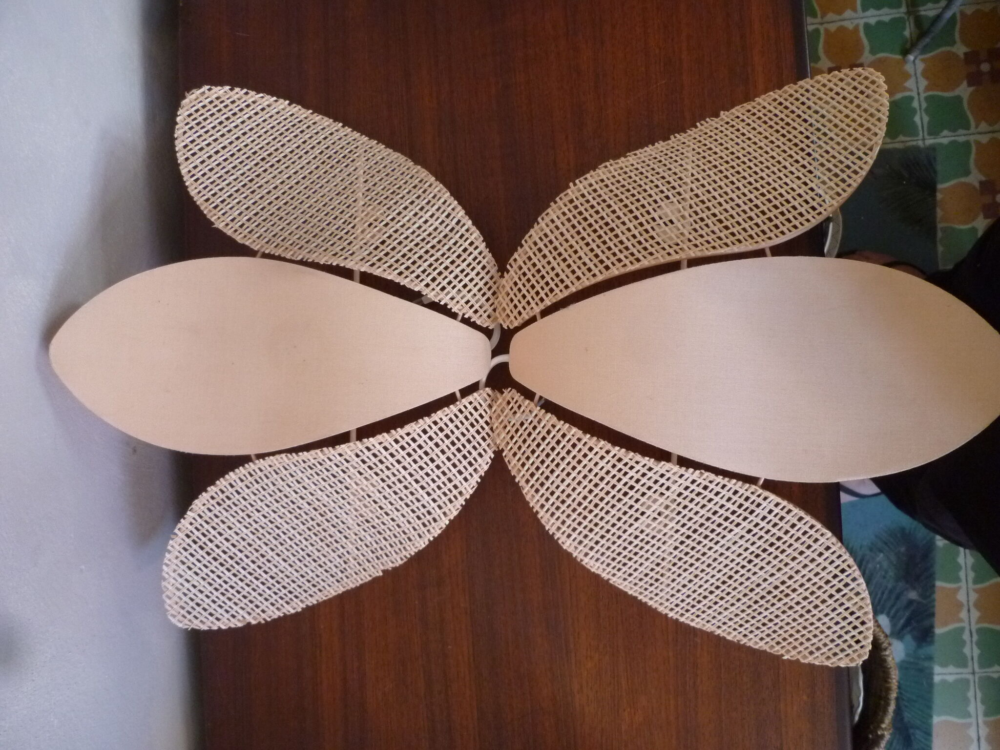 Duo of pink corolla sconces