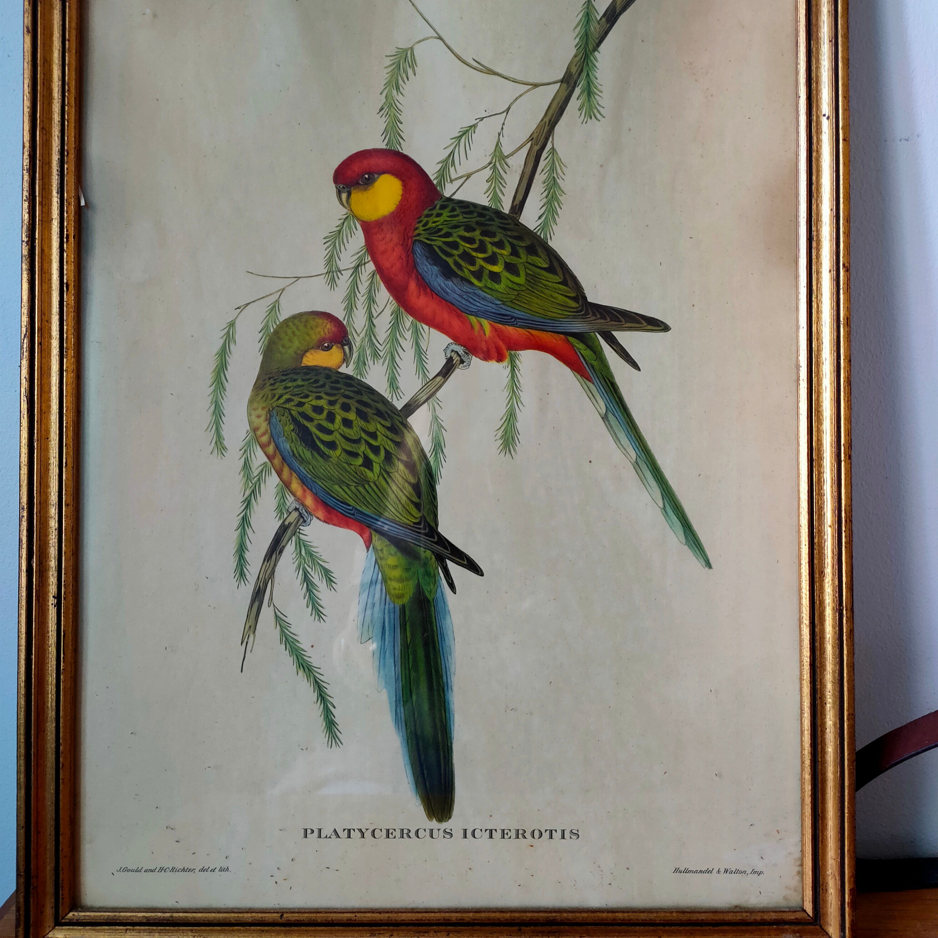 Ancient painting with exotic birds