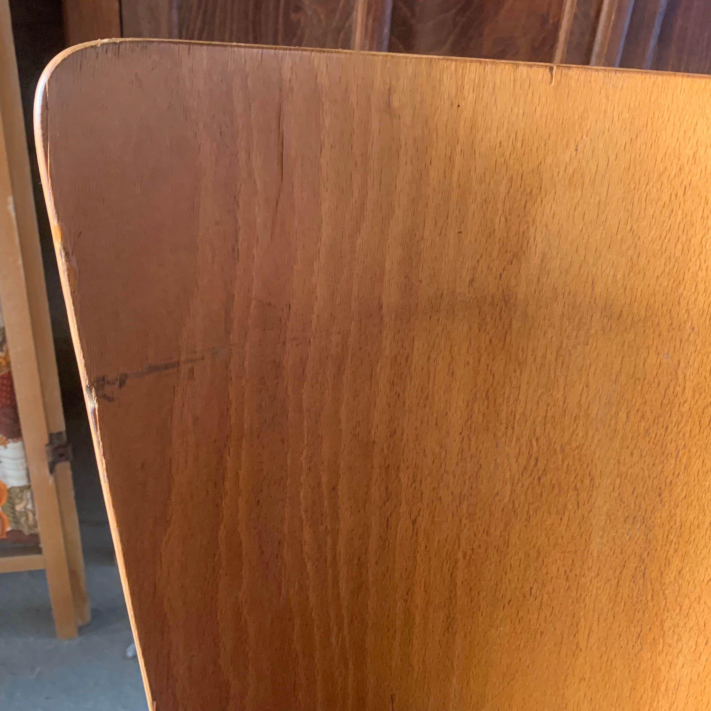 Pair of chairs baumann model Dove 60s