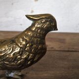 Brass pheasant couple
