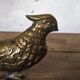 Brass pheasant couple