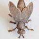 Ashtray fly brass vintage 1970