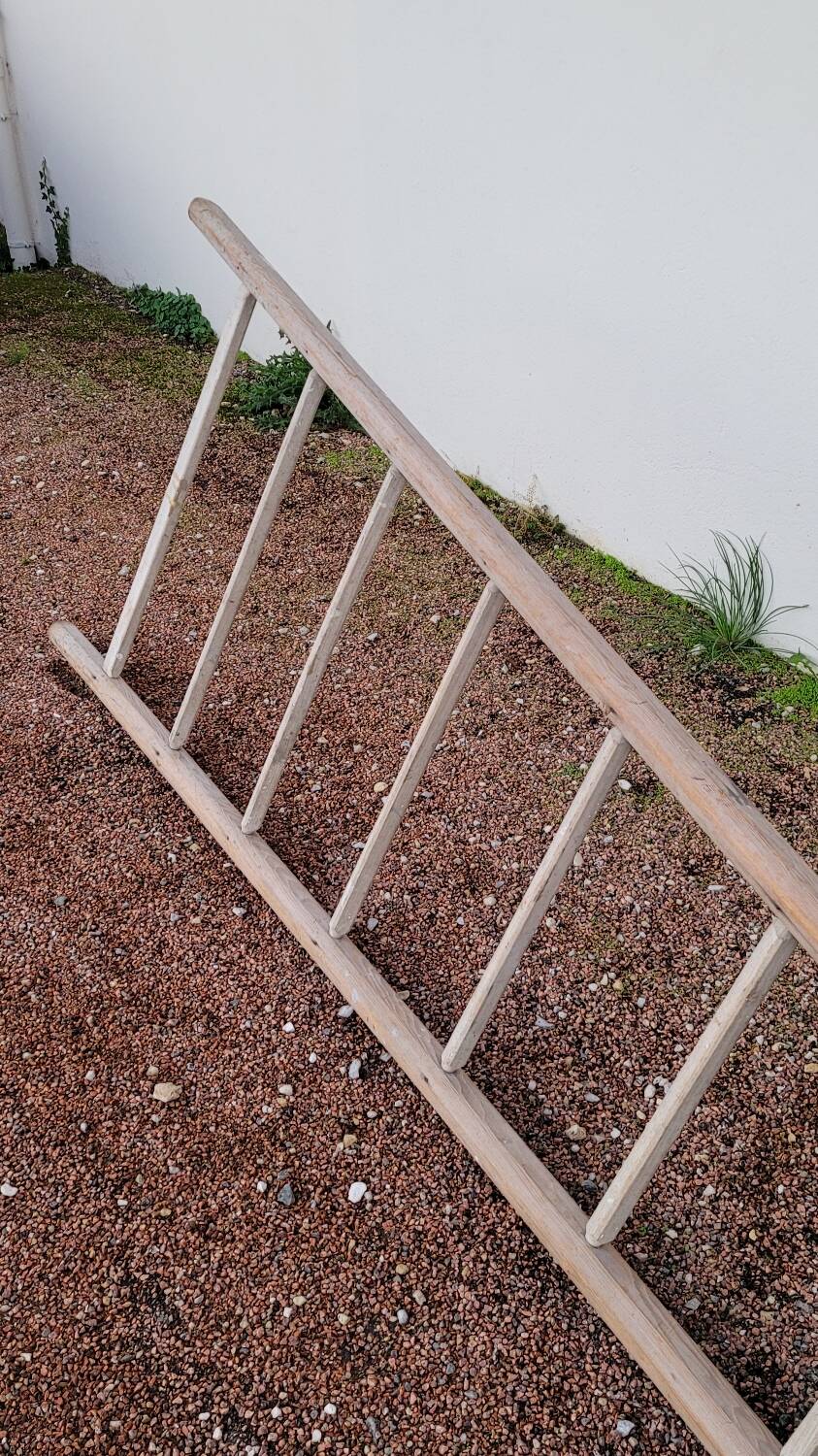 Old wooden fruit harvest market gardener's ladder - 3m65