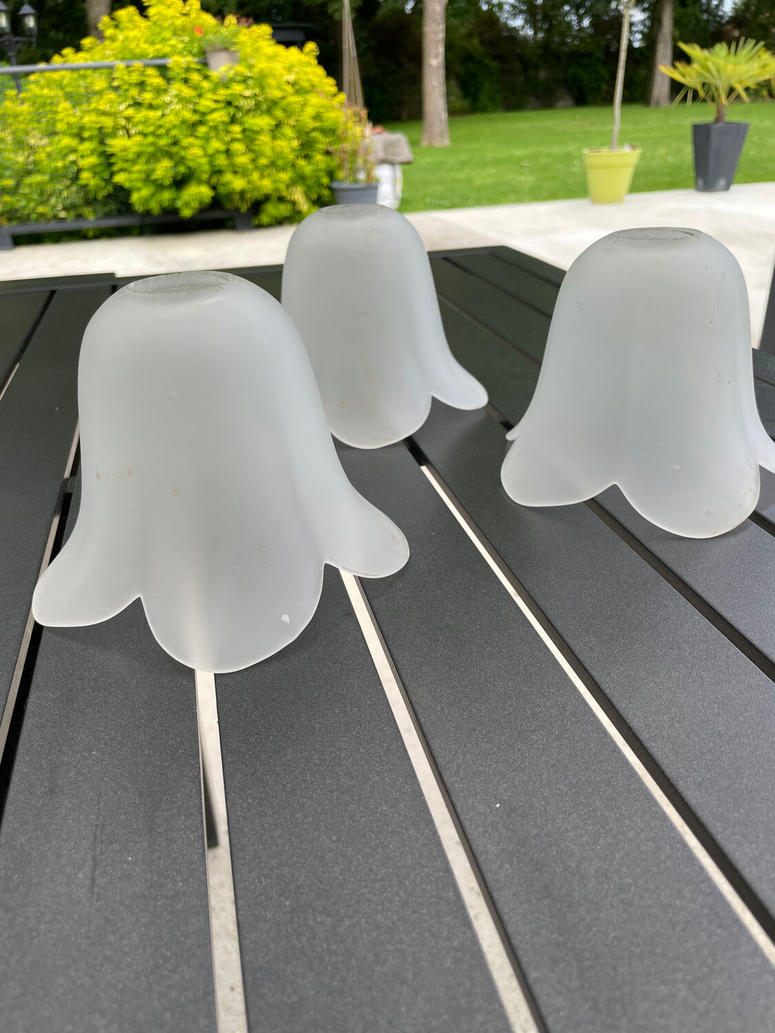 3 tulipes 5 pétales verre satiné anciennes