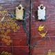 Vintage Chinese cabinet (red/gold) traditional scene bohomian