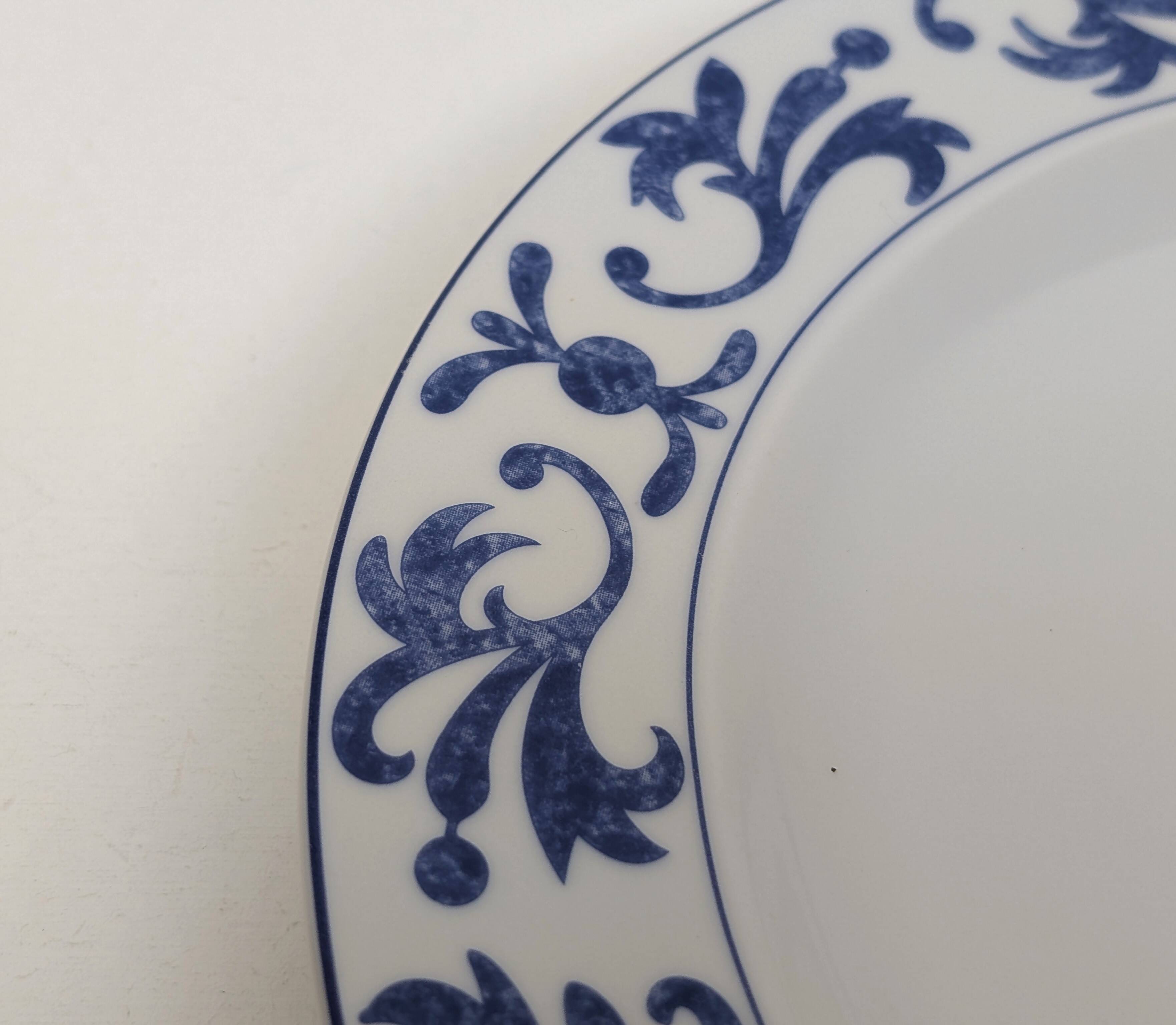 Set of 10 white and blue flat plates