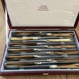 Case of 12 dessert knives