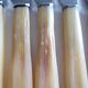 12 fruit knives, dessert. horn handle. length 19 cm