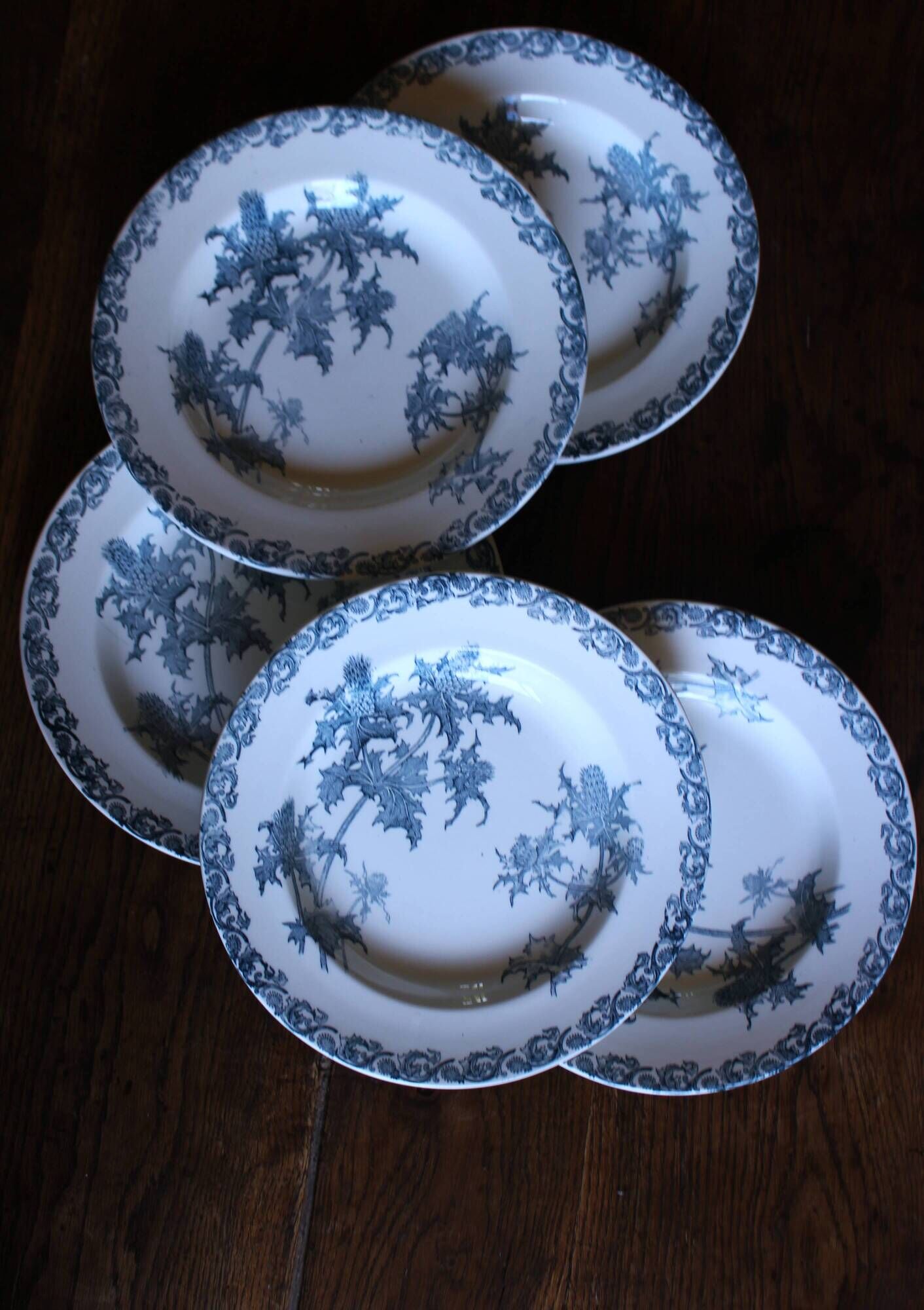 A set of 5 deep plates Chardon Bleu Terre de Fer Clairefontaine Righi