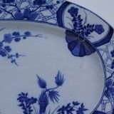 Dish