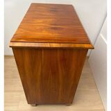 Biedermeier Ebonized Chest of Drawers in Cherry Veneer, South Germany, 1830