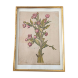 Botanical poster cade gilded wood